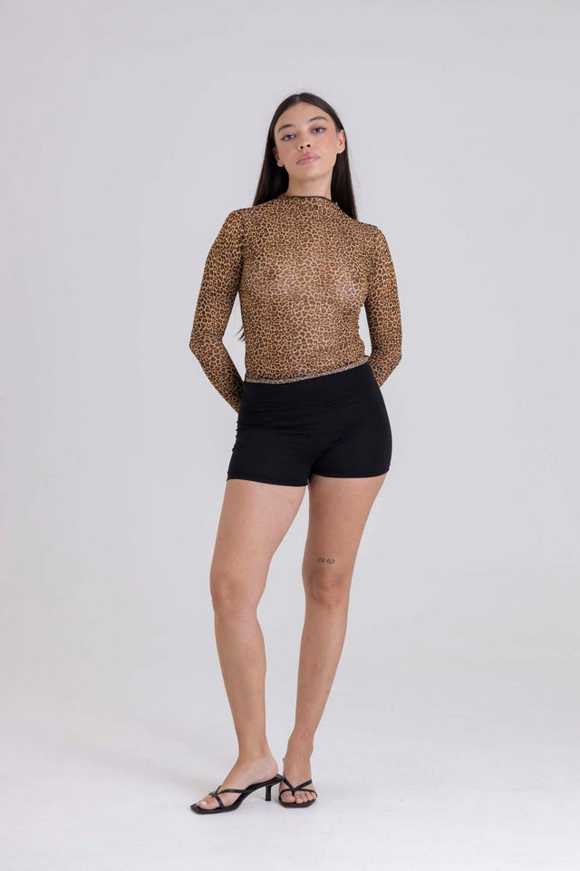 FIERCE MESH